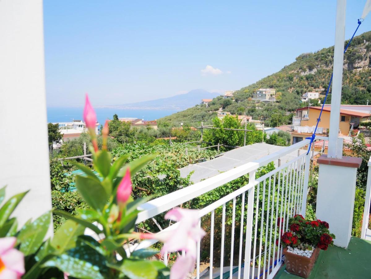 Olindo Apartment E Cristina Apartments Vico Equense Exterior photo